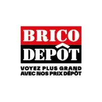 BRICO DEPOT - Partnering with IUFUTURE for Wholesale Security Solutions