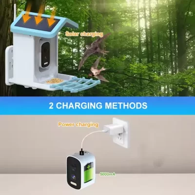 Solar panel charging the outdoor bird feeder camera for continuous operation.
